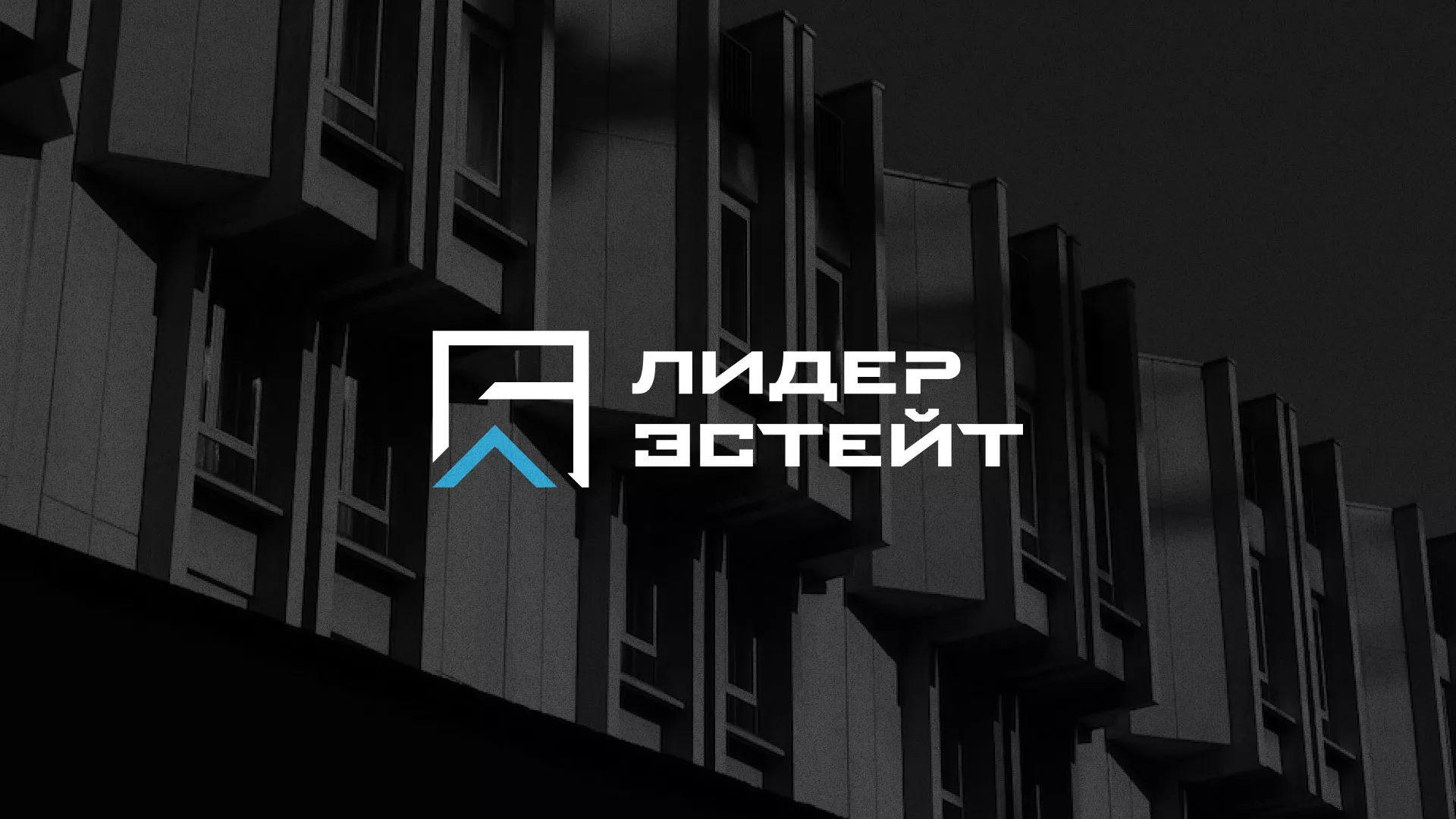 Разработка логотипа агентства недвижимости «Лидер Эстейт» в Сольвычегодске